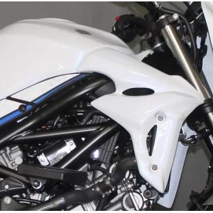SV650 フロントカウル フェアリング カタナ(刀) コンバージョンキット