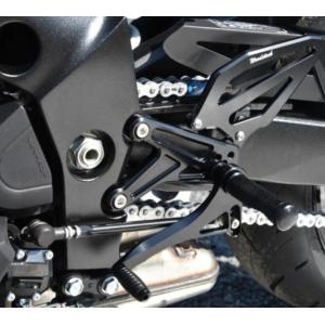 ニンジャ ZX-10R/SE 16- フェンダーレスキット EVOTECH(エボテック