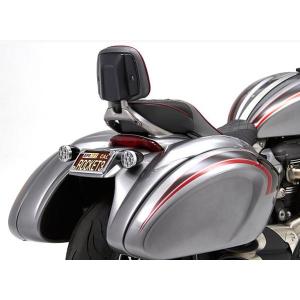 Kawasaki Z900RS HUGGER リアフェンダー マットブラック POWERBRONZE