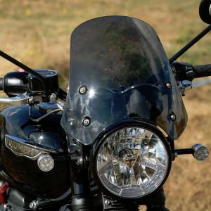 ストリートツイン/スピードツイン900 16-24 スクリーン ピラニア