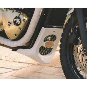 トライアンフ ボンネビル T120 T100 スラクストン スクランブラー
