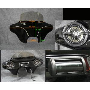 カワサキ ZRX1200 DAEG スクリーン(ミラー) ACRY Point