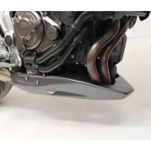 BMW S1000RR アンダーカウル ドライカーボン SPEEDRA : モトパーツ