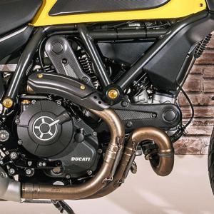 CNC Racingタイミングベルトカバー ブラック/ゴールド モンスター