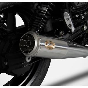 BEET ビート ハイパーバンク バックステップ カラー:シルバー Ninja ZX