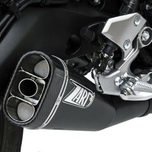 AKRAPOVIC（アクラポビッチ） スリップオンライン カーボン Ninja 250