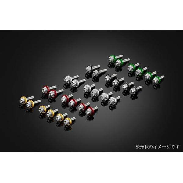 バイカーズ ZX-25R スクリーン用ステンボルトセット カラー チタン BIKERS