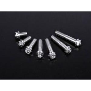 ジータ 汎用 チタン フランジボルト スタンダード M8 P=1.25 サイズ M8×20mm メー...