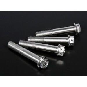 ジータ 汎用 チタン キャリパーマウントボルト M10 P=1.25 サイズ M10×55mm ZE...