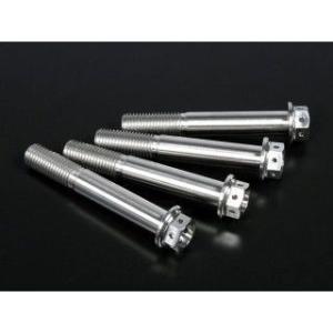 ジータ 汎用 チタン キャリパーマウントボルト M10 P=1.25 サイズ M10×65mm ZE...