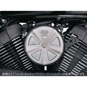 バンス&ハインズ ボルト 2014-2021- YAMAHA エアクリーナー
