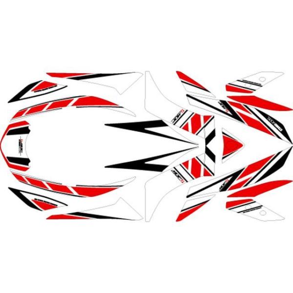 【メーカー直送】エムディーエフ CYGNUS GRYPHUS CYGNUS GRYPHUS（2022...