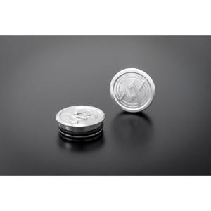 アーキ Z900RS Z900RSカフェ ARCHIロゴプラグシリーズ フレームセンター シルバー ARCHI