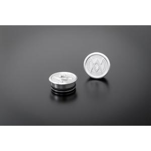 アーキ Z900RS Z900RSカフェ ARCHIロゴプラグシリーズ フレームフロント シルバー ARCHI