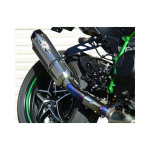 BEET ビート 4582346469261 ナサート-Evo TYPE2 S／O メタルBLK Ninja