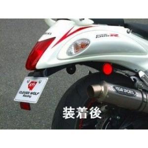 ACTIVE GSX1300R 隼 フェンダーレスキット TYPE-2 1155037 : Parts