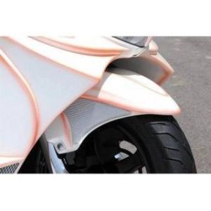 DAYTONA（デイトナ） ステンレスショートフェンダー フロント W650/400