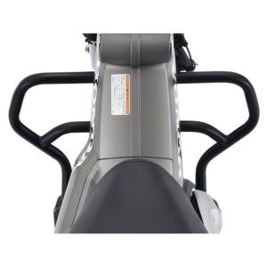 Kawasaki ZX-10R 11-15年 カーボンフレームカバー 左右セット : 輸入