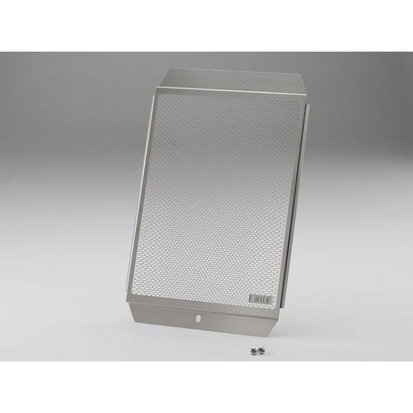 アエラ SPEED400/X ラジエタープロテクター Triumph SPEED400/X AELL...