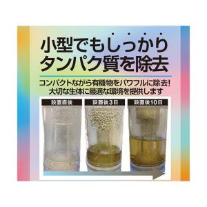 ゼンスイ Nano skimmer COMPA...の詳細画像4