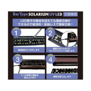 ゼンスイ Bar Type SOLARIUM ...の詳細画像2