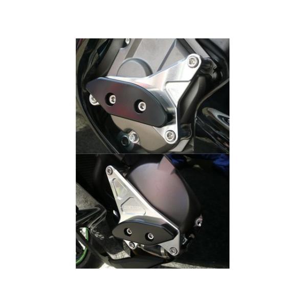 アグラス ZX-10R レーシングスライダー 2点SET A カラー ジュラコン/ホワイト AGRA...