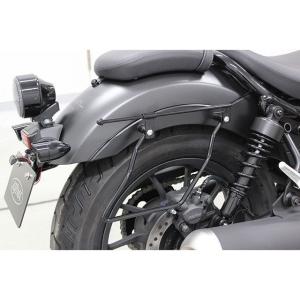 チタニウムパワー Z900RS/RS CAFE チタン ラジエターコアガード for