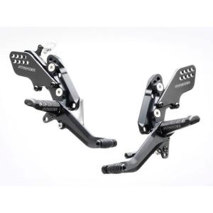 ZRX1200 DAEG（ダエグ）09年〜 SPI-K69 シフトポジション