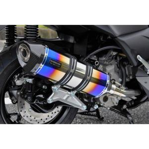 AKRAPOVIC（アクラポビッチ） スリップオンライン (カーボン) マフラー