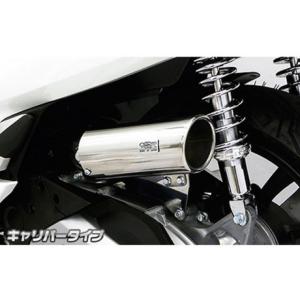 サイレンサー型エアクリーナーキット ウイルズウィン（WirusWin