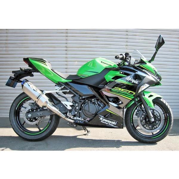 ビートジャパン Ninja250 NASSERT-R Evolution Type II チタンレー...