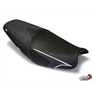 088 SPEEDCARBON アンダーカウル DUCATI空冷汎用(取付ステー付