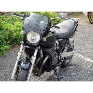 ワールドウォーク 汎用ビキニカウル DS-01 typeR（パールノベルティーブラック） WW