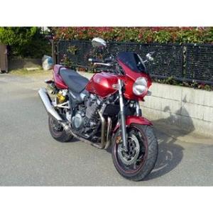 部品屋K&W シャドウ400 SHADOW用 スポーツスタータンク K&W