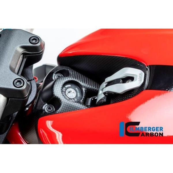 イルムバーガー Monster 1200 Monster 1200 S イグニッションスイッチカバー...