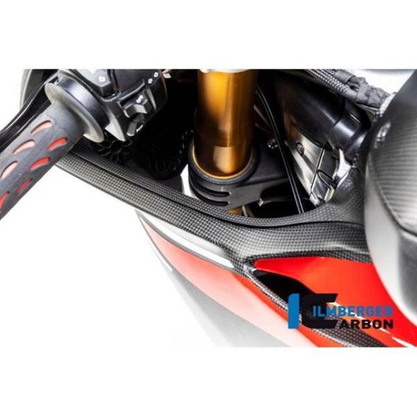 イルムバーガー Panigale V4 Panigale V4 S エアチューブカバー 左 マット ...