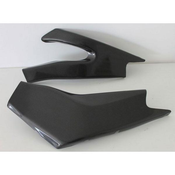 S2コンセプト R6 Swingarm protection YAMAHA R6 RJ11 2006...
