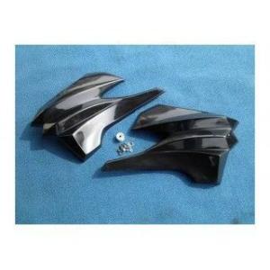 プレジャー DトラッカーX KLX250 シュラウドパネル 仕様 Lのみ PLEASURE