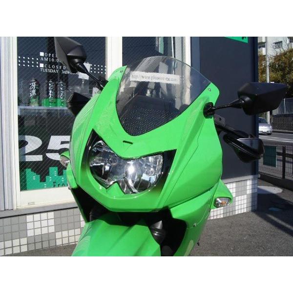 プレジャー Ninja250R Ninja250R フェイスパネル 仕様 Type1 PLEASUR...