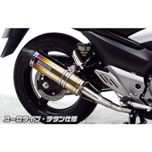 REALIZE（リアライズ） Realize GSR250 バイクマフラー JBK-GJ55D 2012
