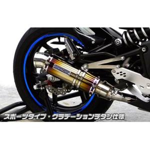 BEAMS（ビームス） マフラー 送料無料 マフラー アドレスV125 UZ125X R