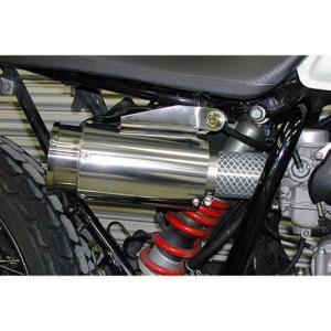 WirusWin（ウイルズウィン） FTR223 FTR（MC34）用 サイレンサー型エア