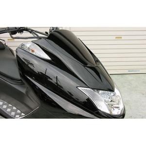 WirusWin（ウイルズウィン） マグザム カウル・エアロ マグザム用