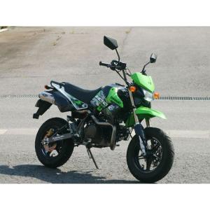 ノジマエンジニアリング ノジマ KSR110 FASARM M TITAN JMCA NOJIMA