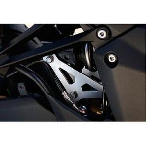 エフェックス Ninja1000 ローダウンキット 15mmダウン（シルバー） メーカー在庫あり E...