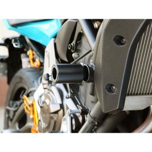 アエラ M1000R S1000R フレームスライダー（ブルー） AELLA