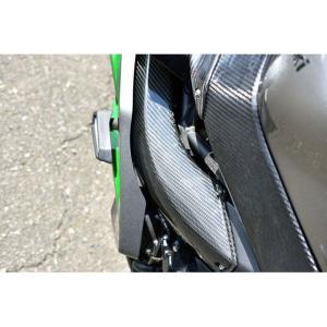 SPEEDRA NINJA H2SX/SE ラ...の詳細画像1