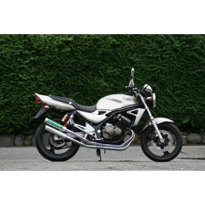 スペシャルパーツ武川 エイプ100/Ape100(HC07/HC13)用 PE24