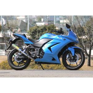 ツルノテクニカルサービス NINJA250 NINJA250R デュアルレーシング