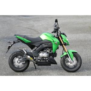 ヨシムラUSA RS-2 ステンレス フルエキゾースト マフラー カワサキ